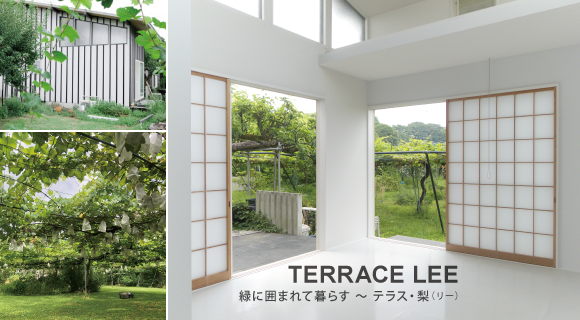 TERRACE LEE